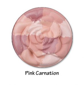pink%20carnation%20copy[1]